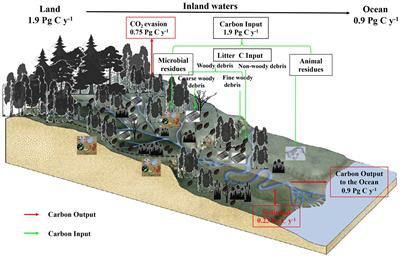 Seasonal dynamics of sediment organic carbon storage for the upper streams of the Yangtze River